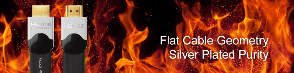 EVX banner