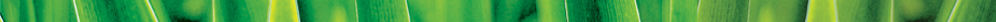EVS banner