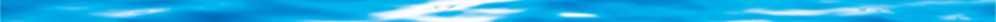 EVS banner