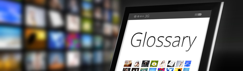Glossary